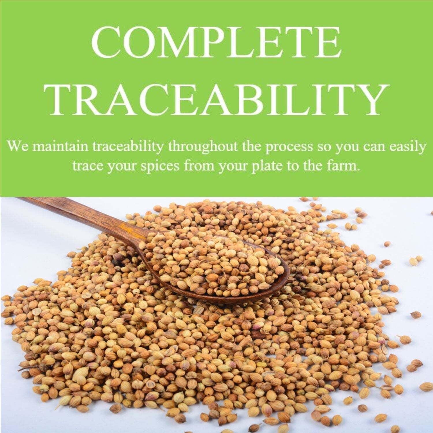 Organic Coriander Seeds-Non-Gmo, USDA Certifed Organic Aromatic and Nutty Flavor