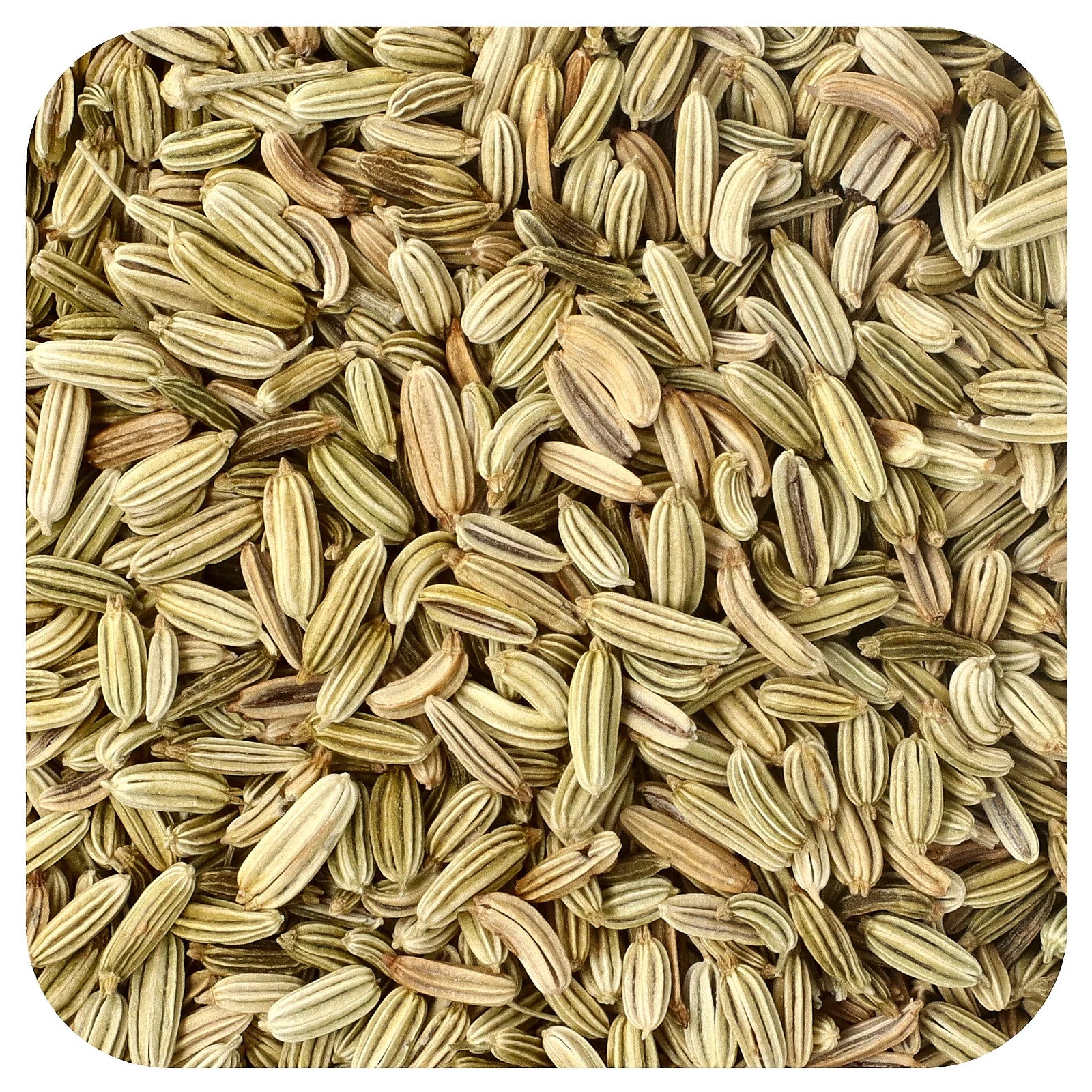 Frontier Natural Products Organic Whole Fennel Seed 16 Oz 453 G Kosher, Organic