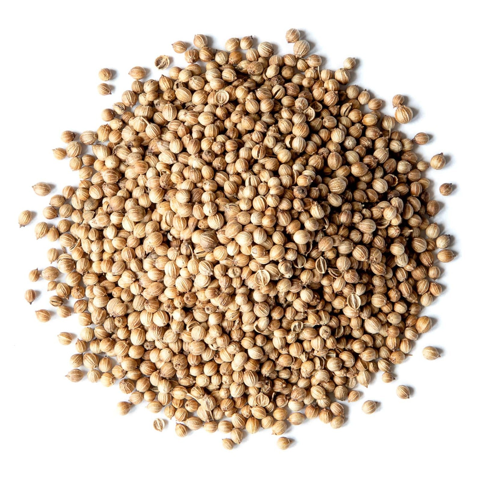 Coriander Seeds — Kosher, Raw, Vegan — by Food to Live