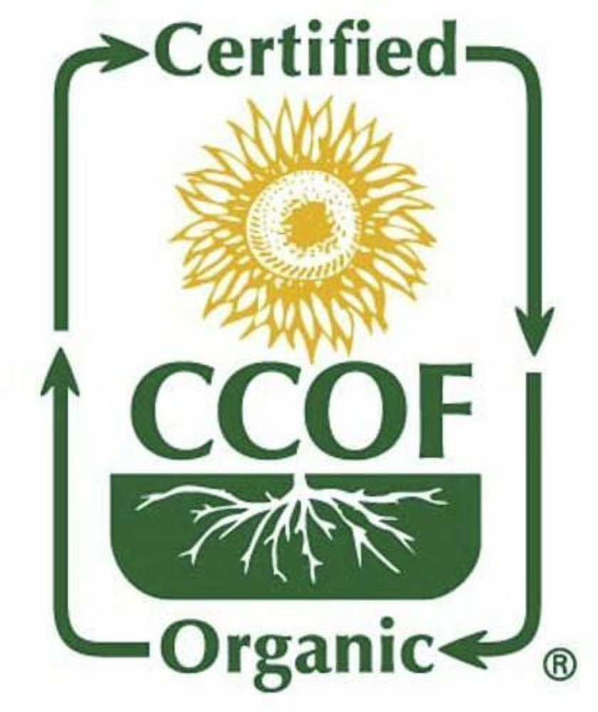 Organic Onion Powder | High-Quality Onion Powder Organic | 8Oz, USDA & CCOF Organic Certified | All Natural and Simple, Packed in USA | OCIA Organic Certified