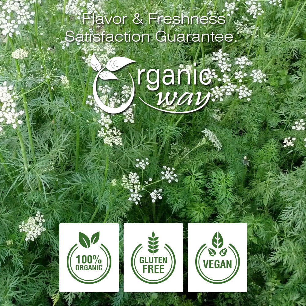 Cumin Seed Powder