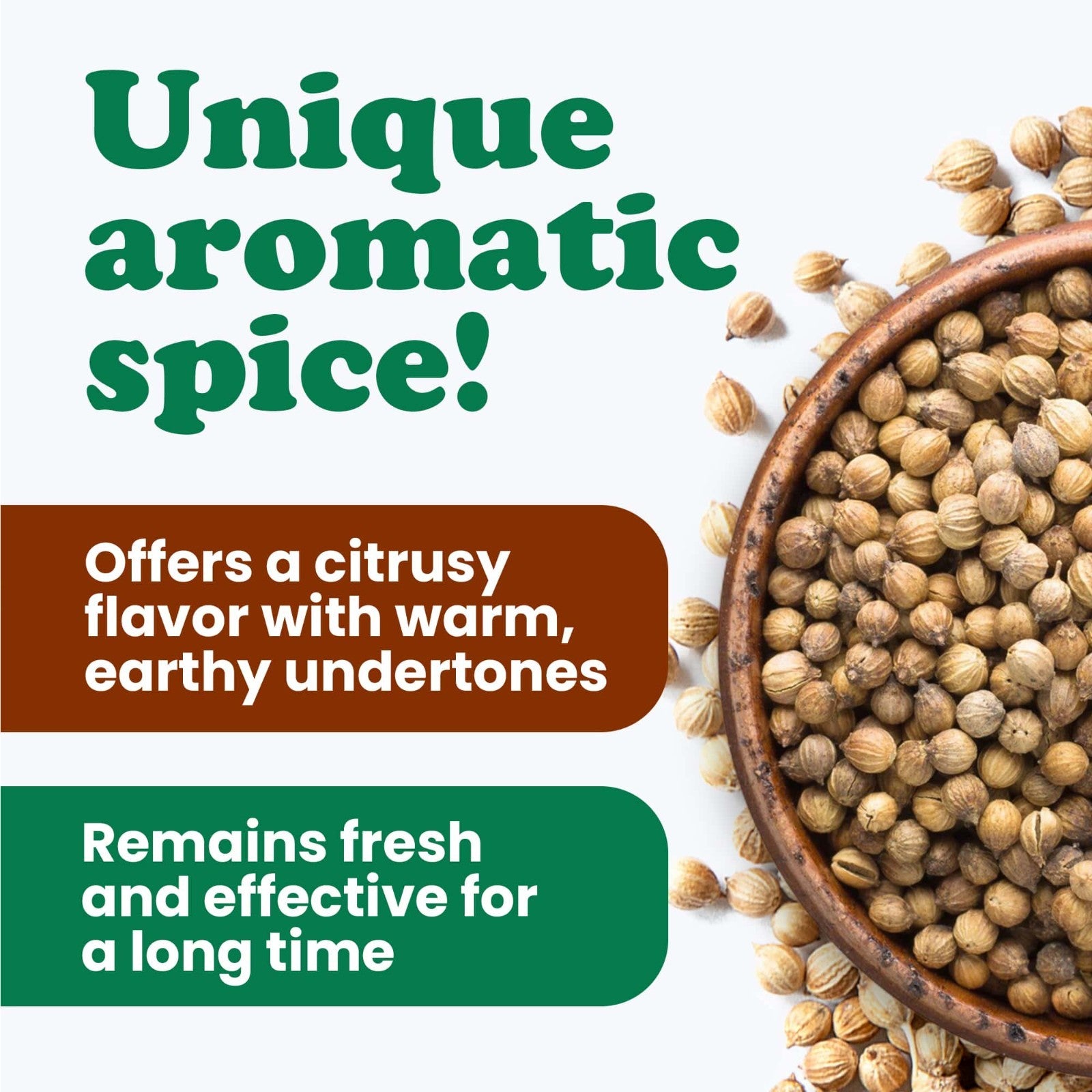 Coriander Seeds — Kosher, Raw, Vegan — by Food to Live